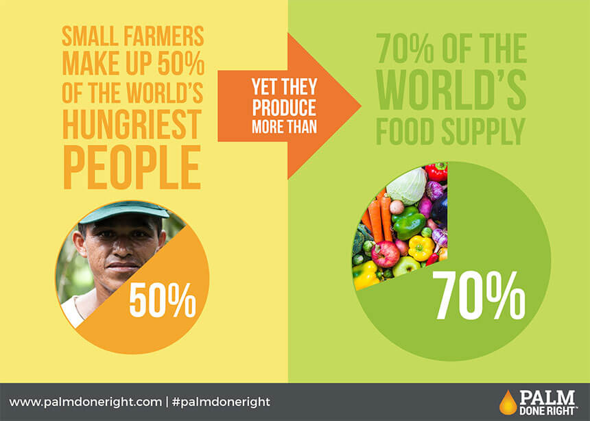 Fair trade palm oil