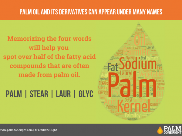 4 Word bank of palm derivatives