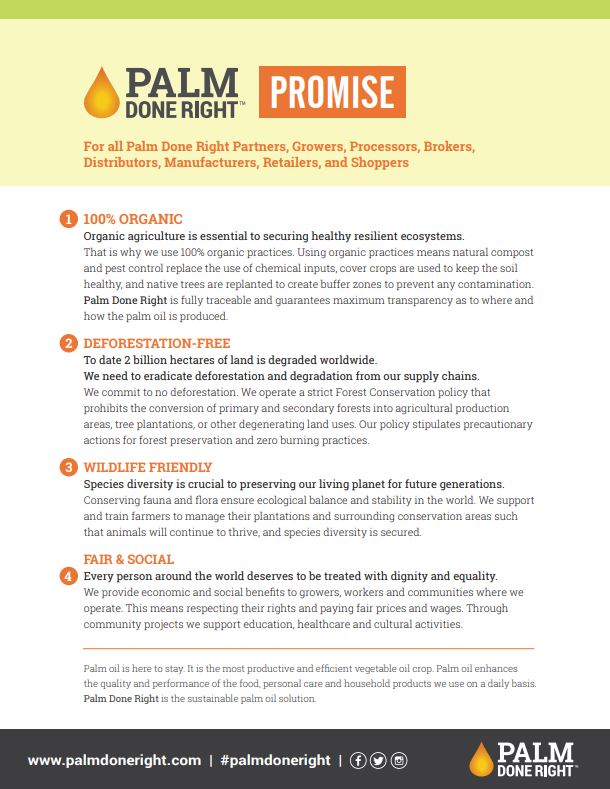 pdr promis-aug2020