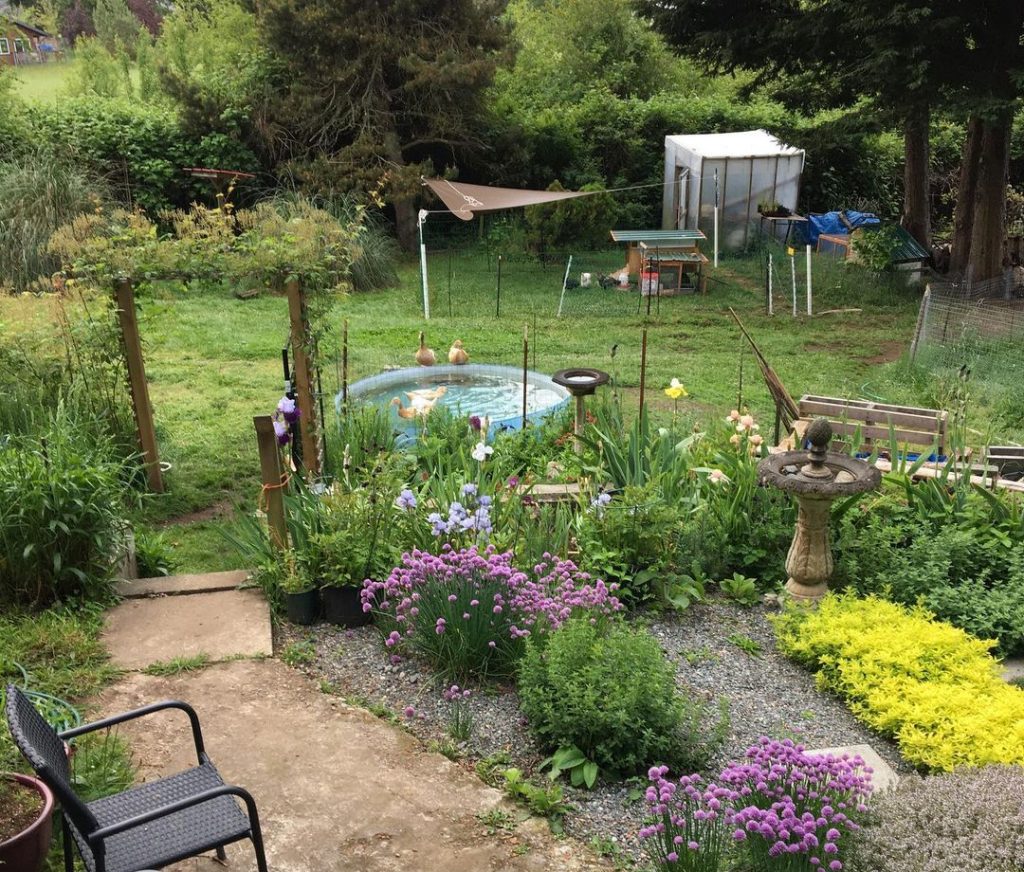 farm
