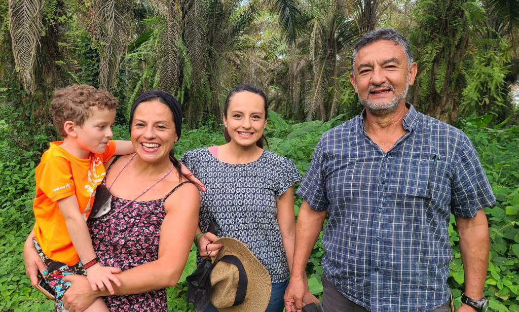 palm oil farming