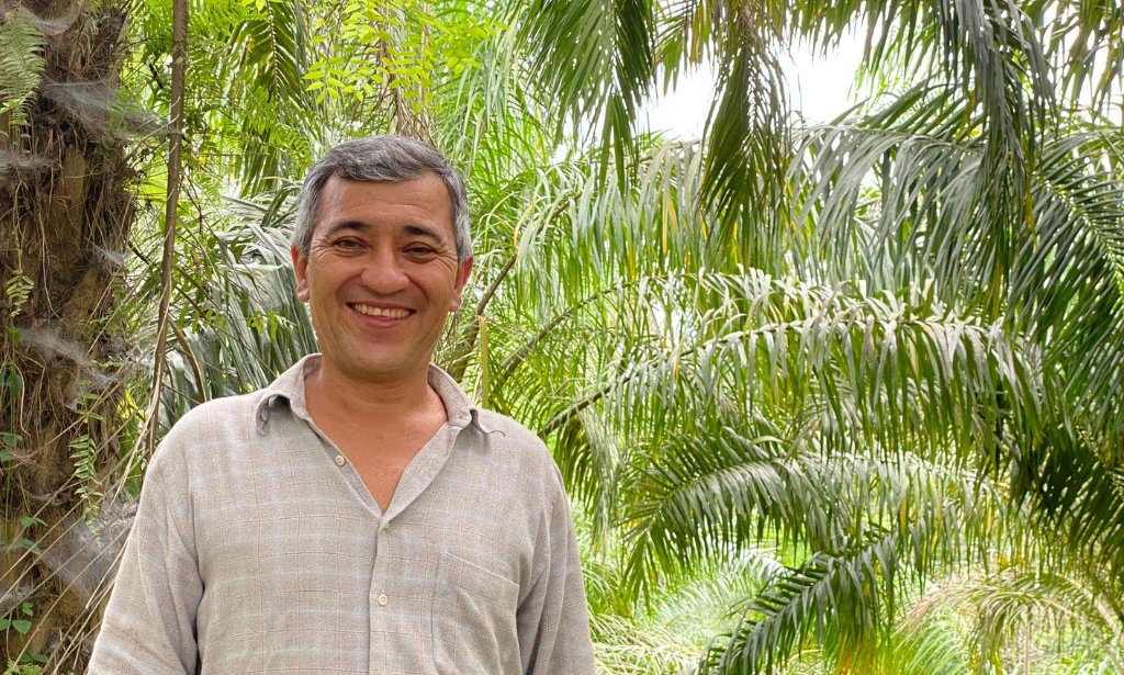 organic oil palm farming