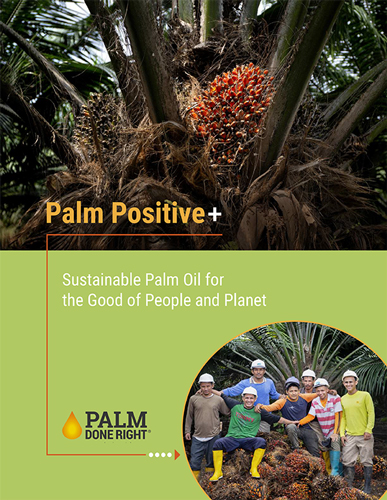 Palm-Positive-E-Book-small